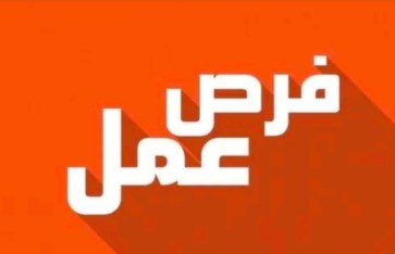 فرص عمل لمحافظة القليوبية