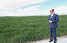 الرئيس عبدالفتاح السيسى  الرئيس عبدالفتاح السيسى