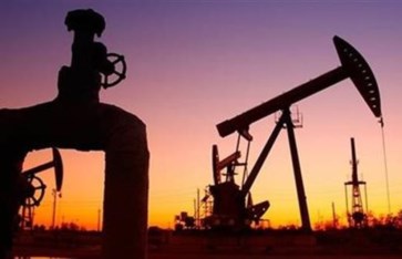 النفط  النفط