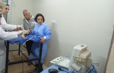  تطعيم وتعقيم الكلاب الحرة