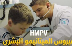 فيروس الميتانيمو