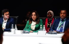 وزيرة التنمية المحلية 