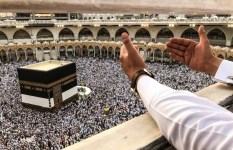 صورة أرشيفية  صورة أرشيفية