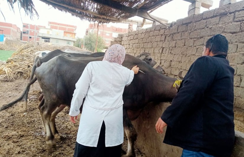 جانب من التحصين