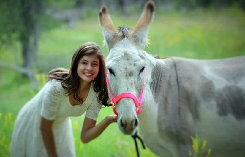 صورة أرشيفية  صورة أرشيفية