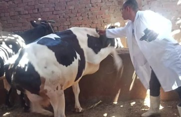 جانب من الحملة