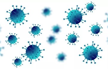 فيروس ماربورج