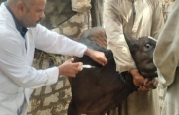 جانب من التحصين 