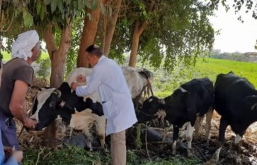 جانب من التحصين