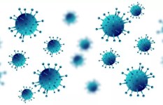 فيروس ماربورج