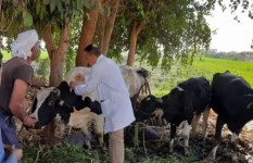 جانب من التحصين