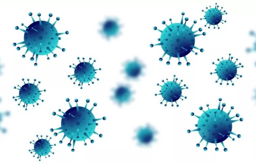 فيروس ماربورج