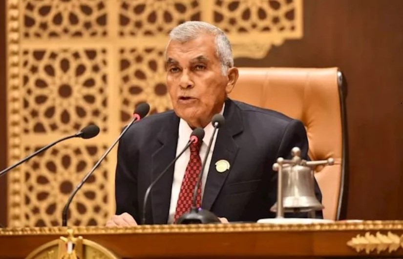 المستشار عصام فريد 