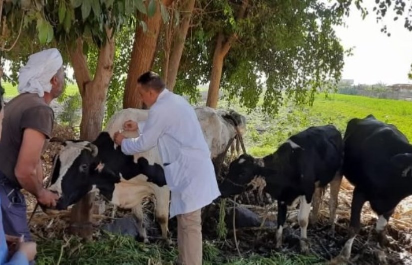 جانب من التحصين