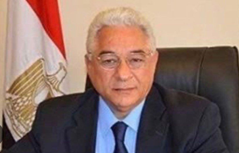 السفير علي الحفنى 