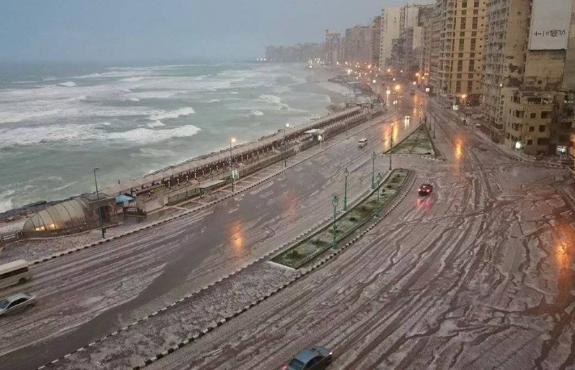 الاسكندريه 