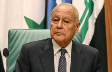 أبو الغيط