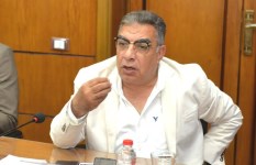 محافظ الدقهلية 