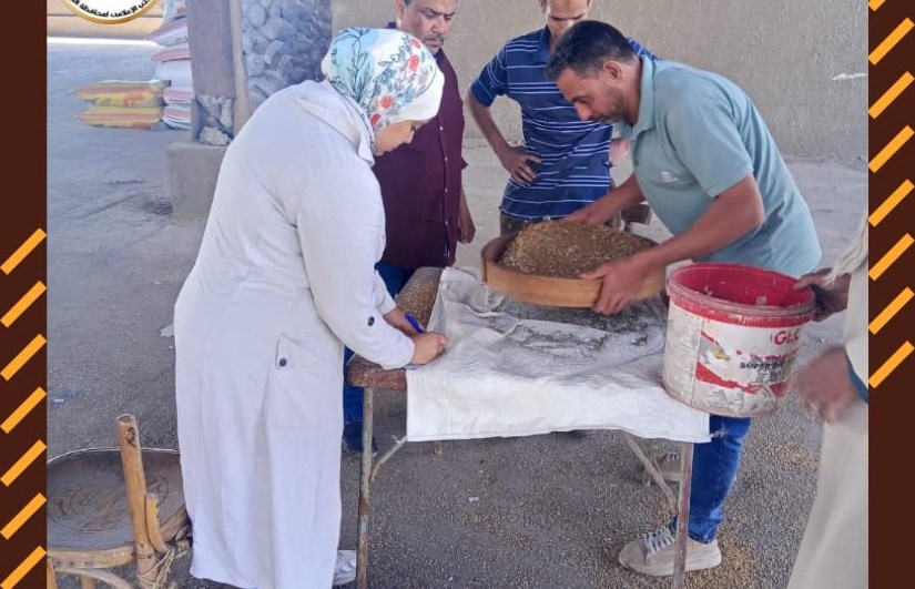 توريد القمح توريد القمح