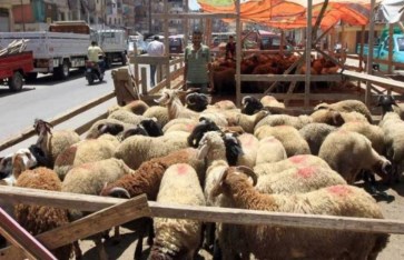 صورة ارشيفية