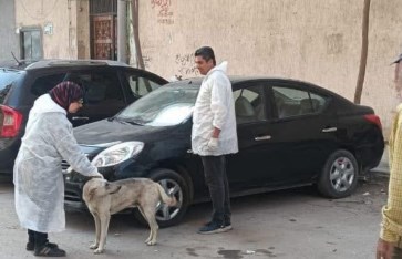 صوره ارشيفيه 