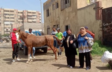 صوره ارشيفيه 