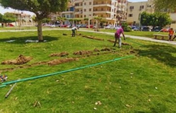 المسطحات الخضراء 