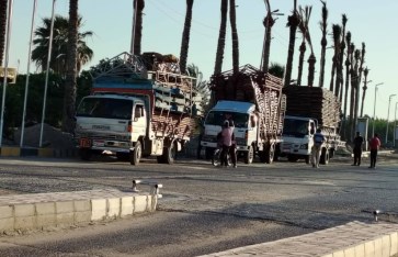 صوره ارشيفيه 
