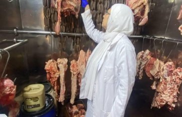 الحملات التفتيشية 
