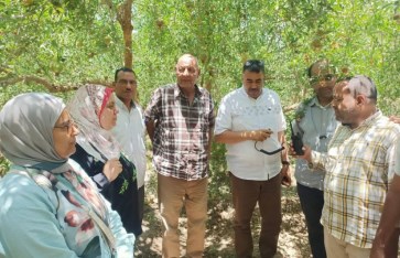 صوره ارشيفيه 