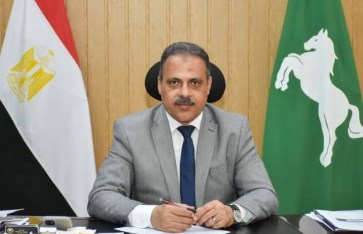 محافظ الشرقيه