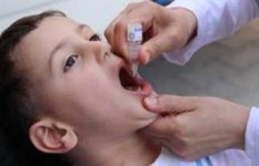تطعيمات