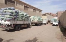 توريد قمح محلي  