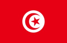 تونس 