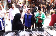 صوره ارشيفيه 