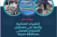 ورشه عمل التغيرات المناخيه 