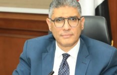 محافظ الجيزة 