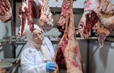 التفتيش على منافذ بيع اللحوم والدواجن 