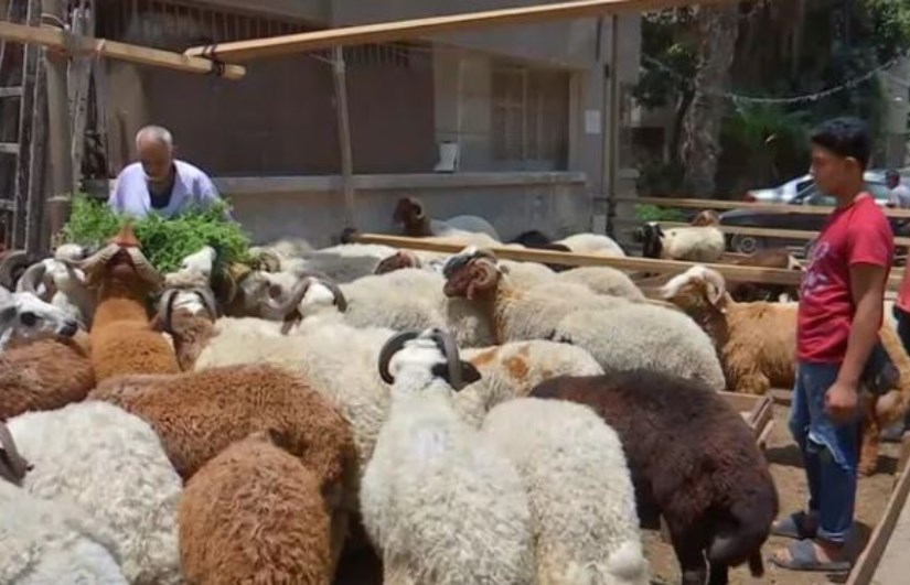 صورة أرشيفية صورة أرشيفية