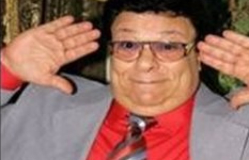 الفنان إبراهيم نصر الفنان إبراهيم نصر