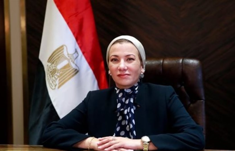 الدكتورة ياسمين فؤاد الدكتورة ياسمين فؤاد