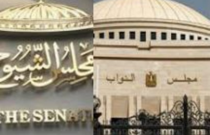 مجلسي الشيوخ والنواب مجلسي الشيوخ والنواب