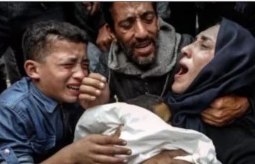 الطبيبة آلاء النجار الطبيبة آلاء النجار