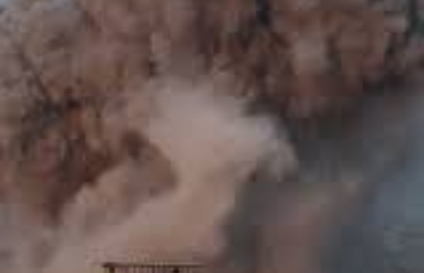 قطاع غزة قطاع غزة