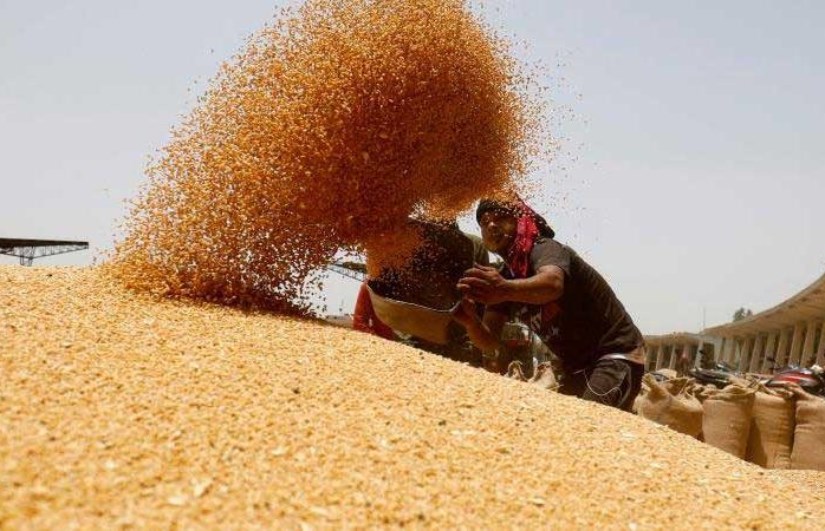 صورة ارشيفية صورة ارشيفية