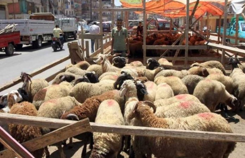 صورة ارشيفية صورة ارشيفية
