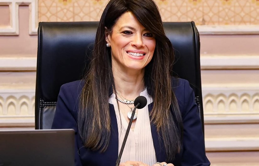 د.رانيا المشاط د.رانيا المشاط