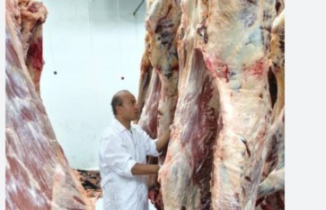 صورة ارشيفية 
