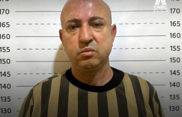 الأسد 