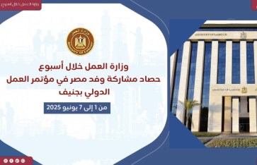 وزارة العمل 